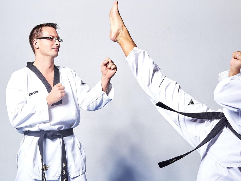 Taekwondo kick